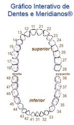 dentes-e-meridianos-grafico-venticinque-odontologia-integratva-sistemica-rodrigo